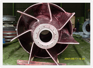 Diffuser CF3MN. CA6NM