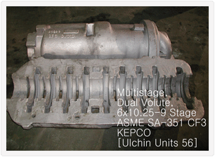 Multistage Pump CF3